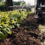 bottom-view-gardener-working