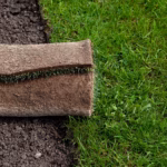 New meadow. Roll of turf or turfgrass, close-up. Landscaping design, improvement of territory.